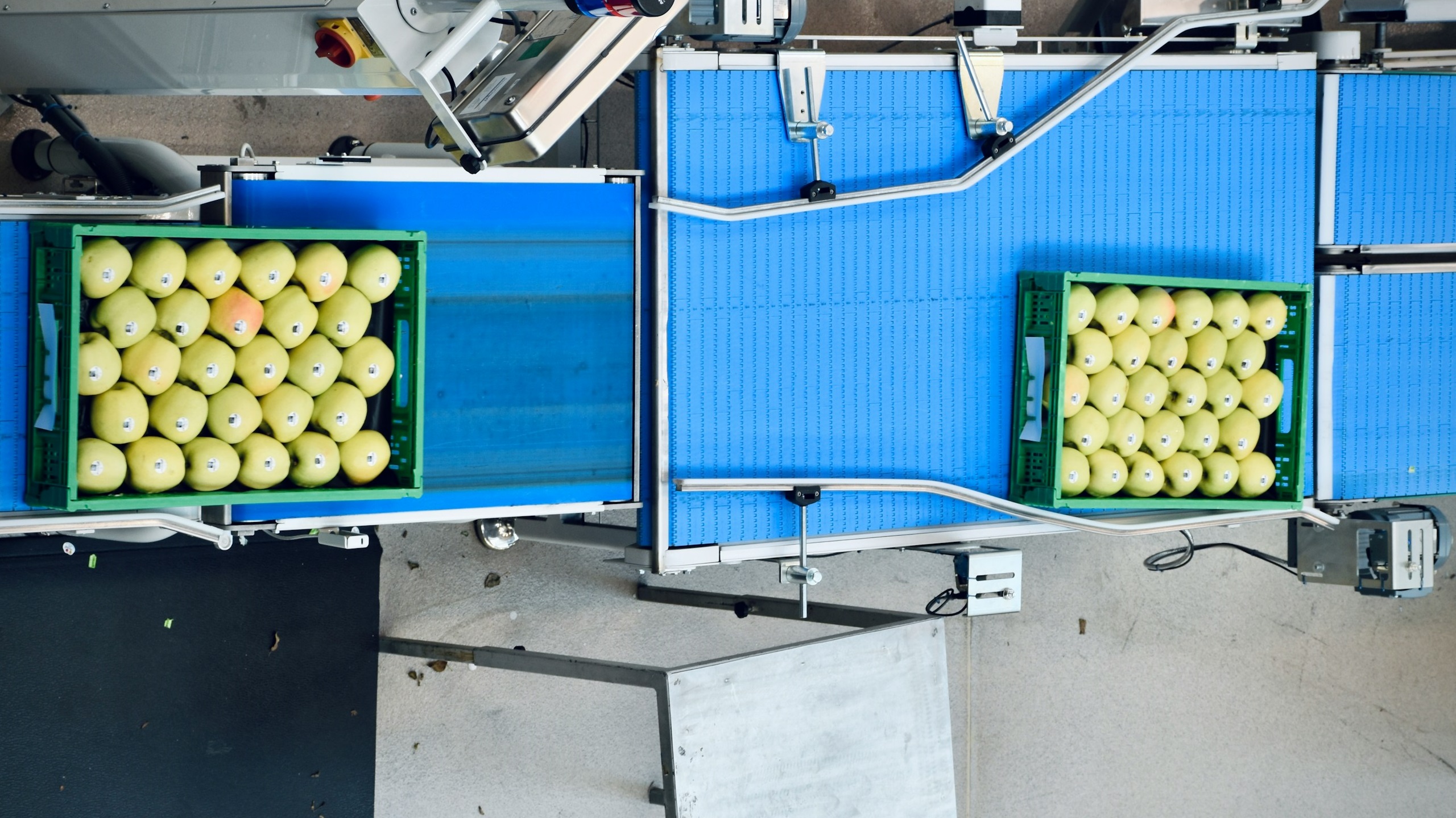 5 Breakthrough Technologies in Produce Processing