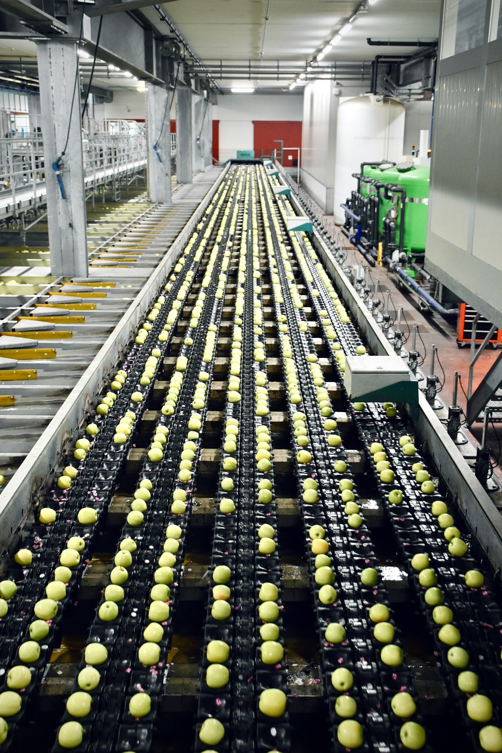 10 Innovations Enhancing Efficiency in Produce Processing